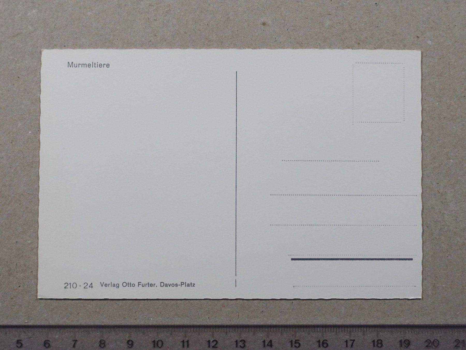 Cartoline postali: Murmeltier, Murmeltiere – Usato da Lenzburg venduto da fh1 1
