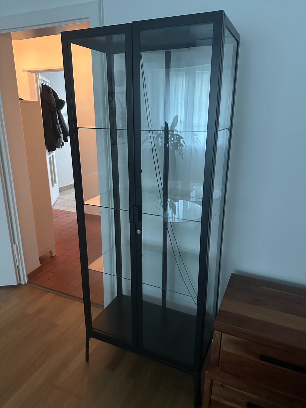 Ikea Vetrine: Glasvitrine MILSBO – Usato da Zürich venduto da Rambor 1