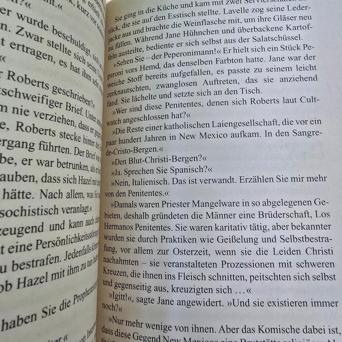 Libri: Die Keltennadel von Patrick Dunne – Usato da Merlischachen venduto da Sheavy 7