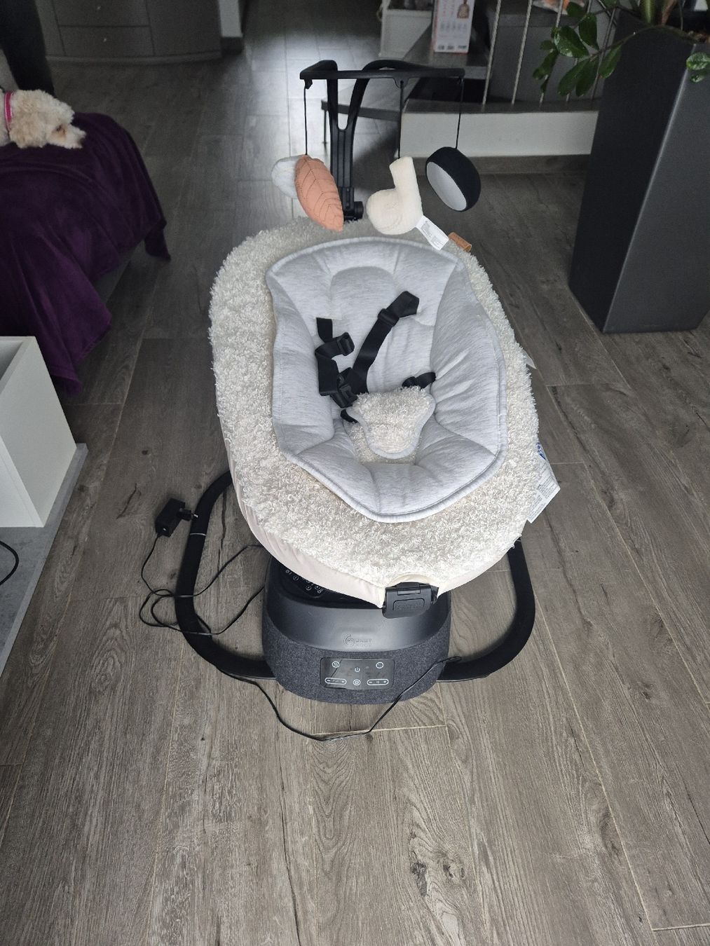 Babymoov Wippen & Schaukeln: Babymoov Swoon Evolution  – Neu (gemäss Beschreibung) aus Unterengstringen von Debsy95