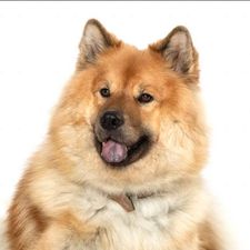 Profile image of 5412Even