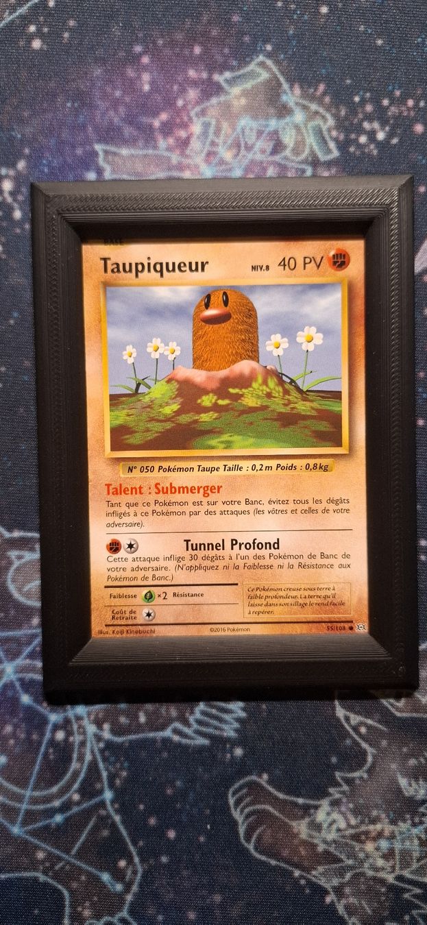 Pokémon Carte collezionabili: Taupiqueur 55/108 - Evolutions FR – Nuovo (secondo la descrizione) da Petit-Lancy venduto da Kara_TCG