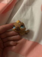 Little Petshop Ornithorynque à dessins