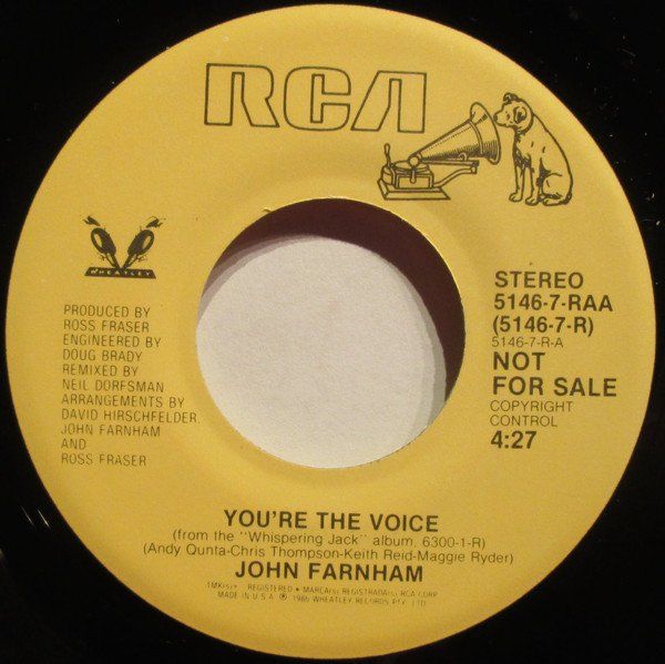 Dischi in vinile: Farnham John: You're The Voice 7" – Usato da Steinhausen venduto da Vilivinili