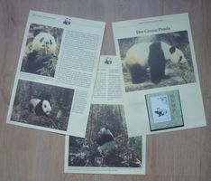 Der Grosse Panda mit Dokublatt, Block aus China