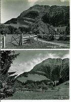 Küssnacht SZ Seebodenalp Rigi 2 AK ca. 1960 sehr gut erhalte