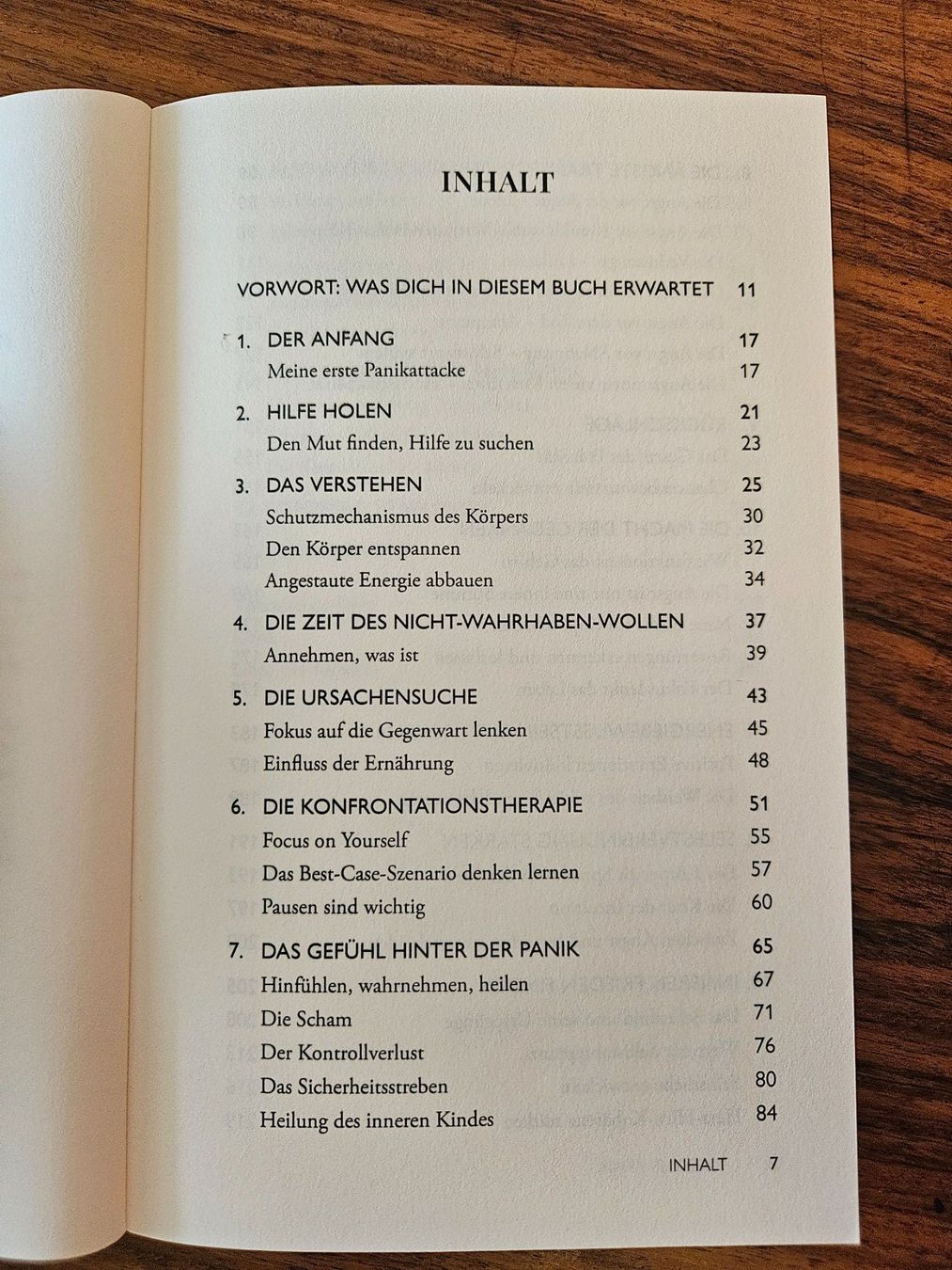 Libri: Mut zur Panik von Celine Stocker*** – Nuovo (secondo la descrizione) da Wettingen venduto da Beo 1