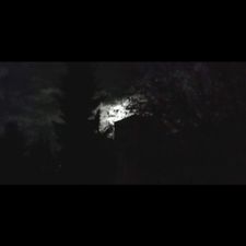 Profile image of Lunatic_Park