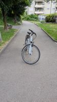 CityVelo Stevens