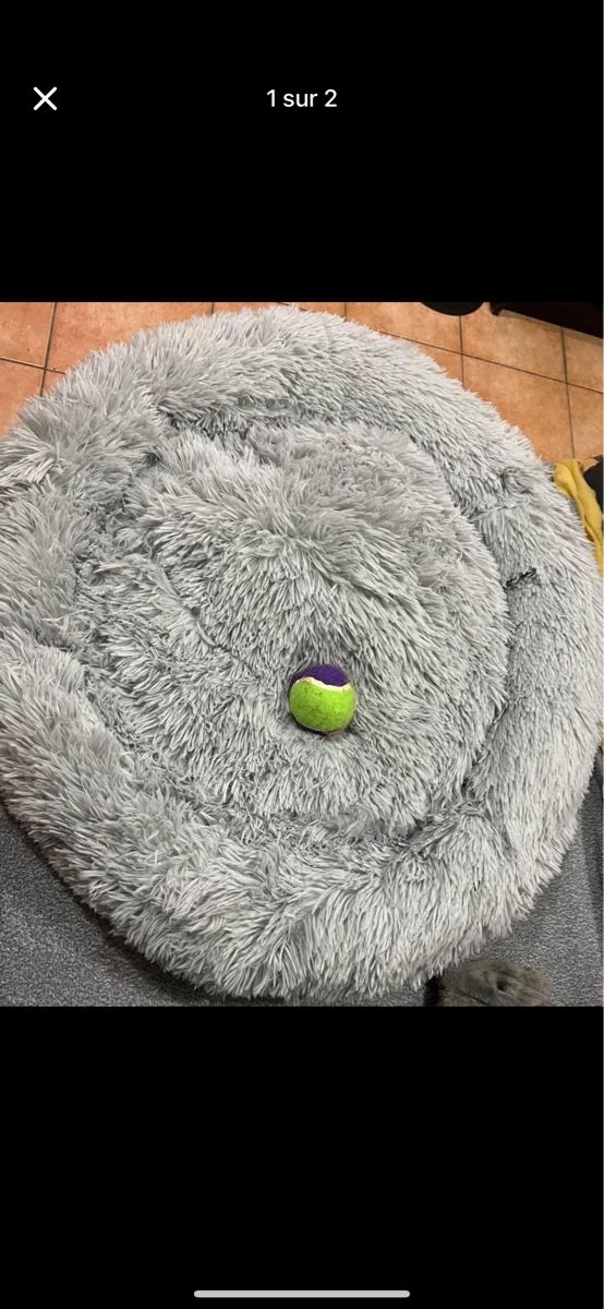 Kissen: Coussin cosy pour animaux – Neu und originalverpackt aus Lausanne von Ale_x_ia 1