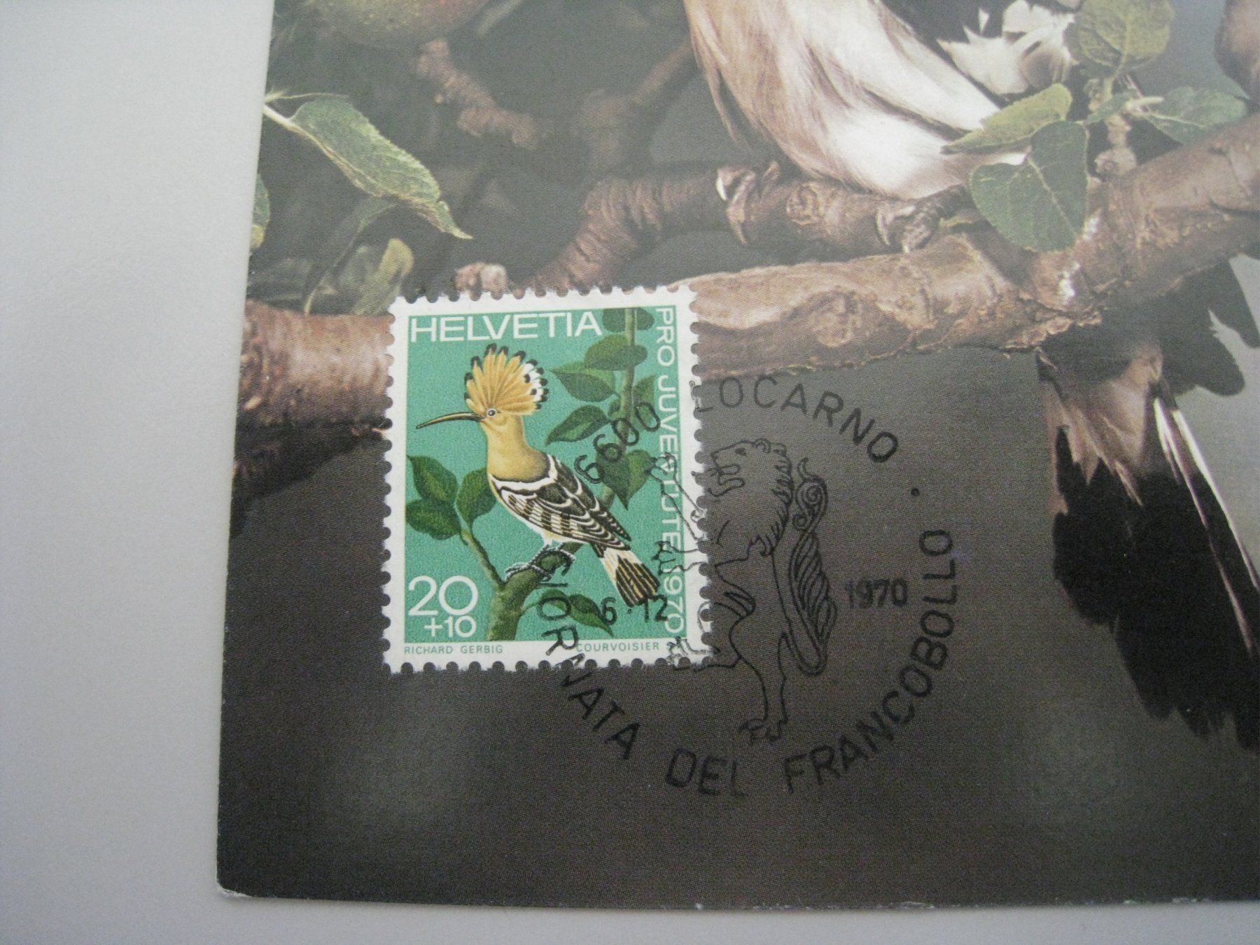 Cartoline postali: Junger Wiedehopf   1970 ungelaufen – Usato da Aarwangen venduto da Pinsel7890 1