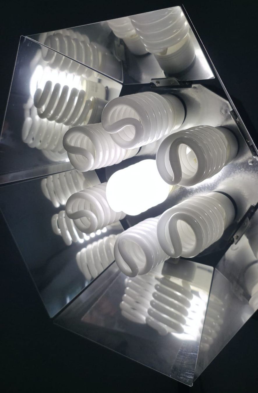 Lampade: walimex Daylight 1750 – Usato da Samstagern venduto da gilido01 3