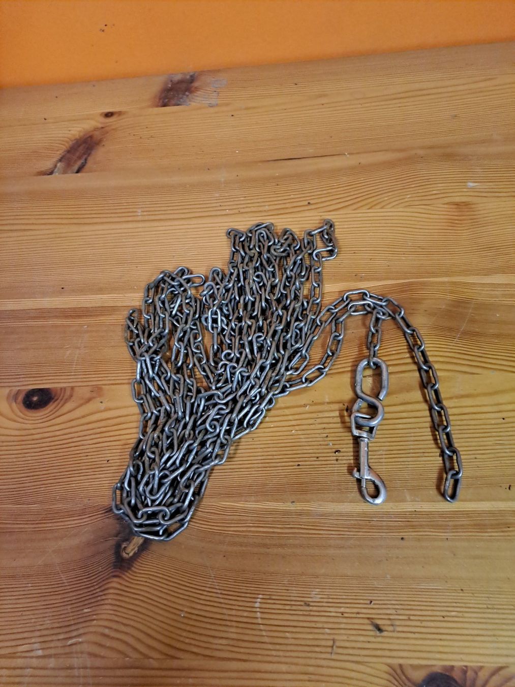 Paranco multiuso: Hundekette – Usato da Sedrun venduto da placi13.