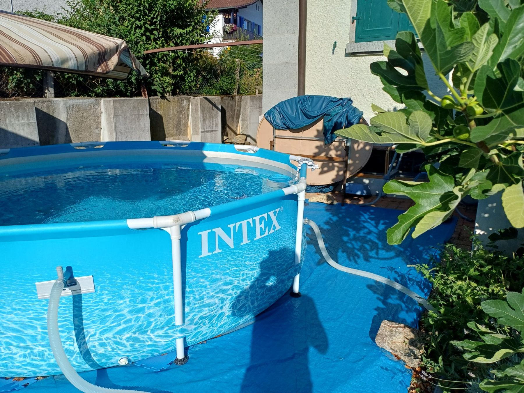 Intex Schwimmbad: Intex Pool – Gebraucht aus Spiez von zturieowpq 3