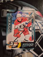 NHL Nathan Gaucher Anaheim Ducks Rookie