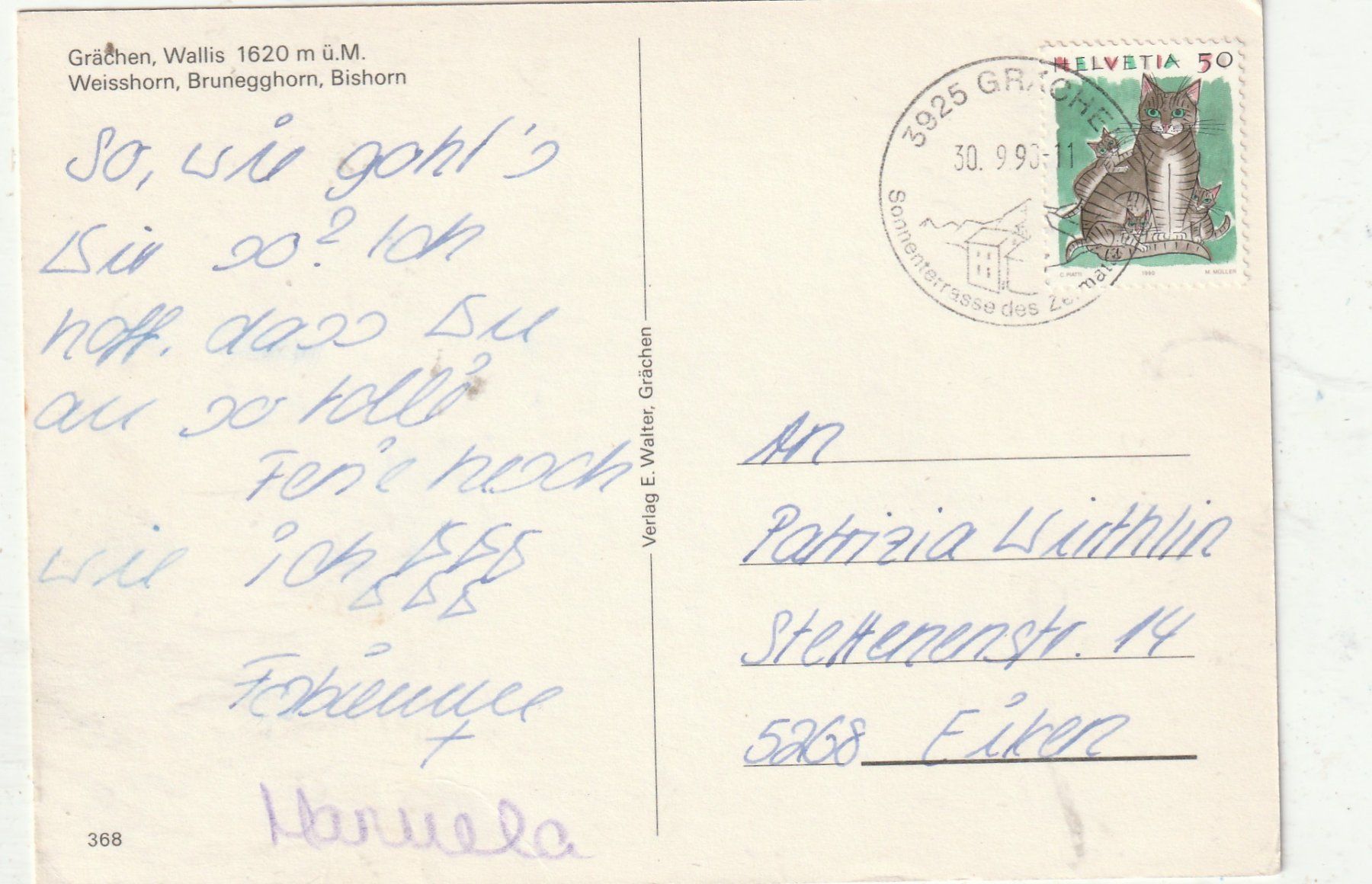 Cartes postales: Grächen  Sommer – D'occasion à Lumbrein par made02 1