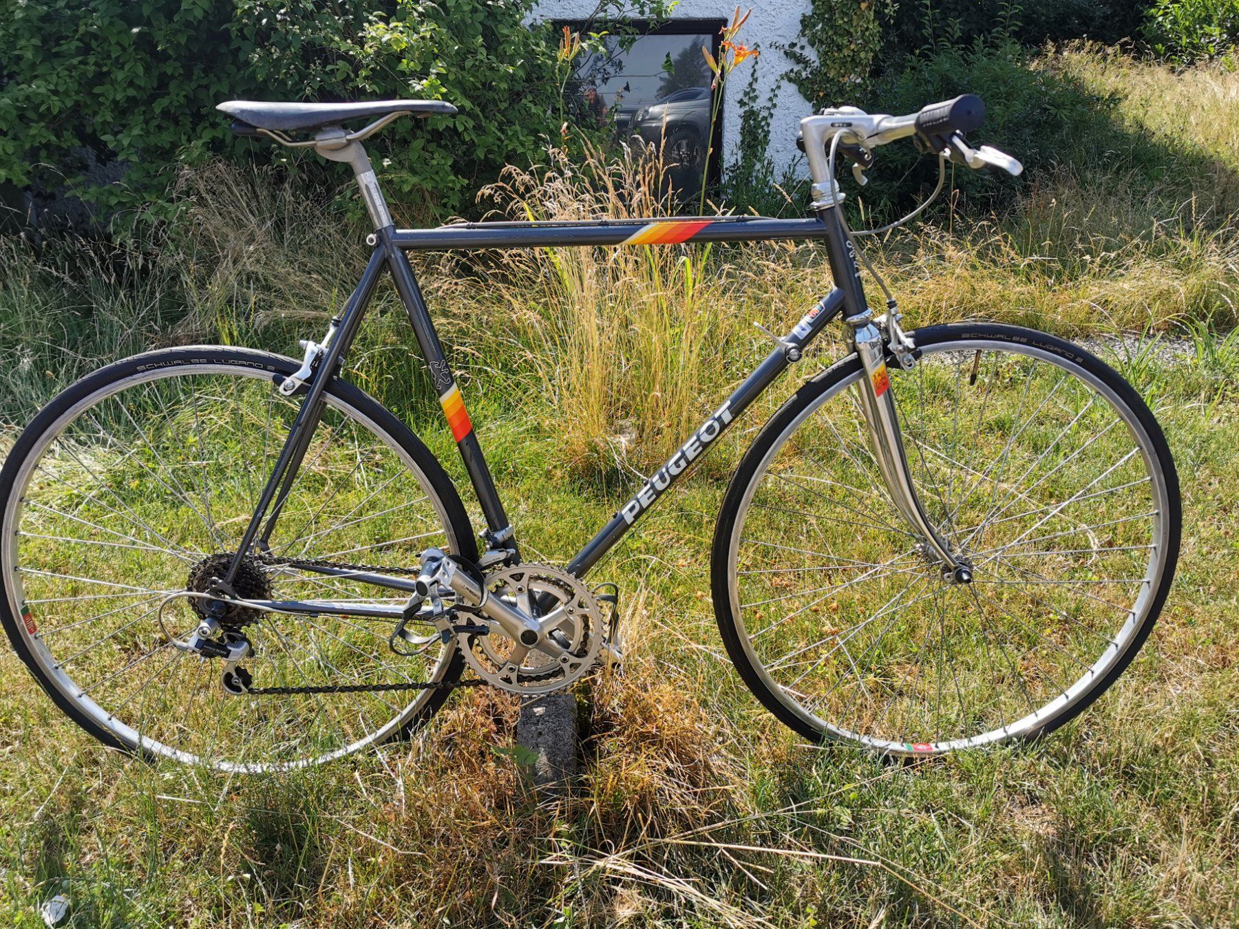 Peugeot Rennrad "Haute LimiteElastique" Vintage (Gebraucht) in Regensdorf  fr CHF 250  nur Abholung auf Ricardo kaufen
