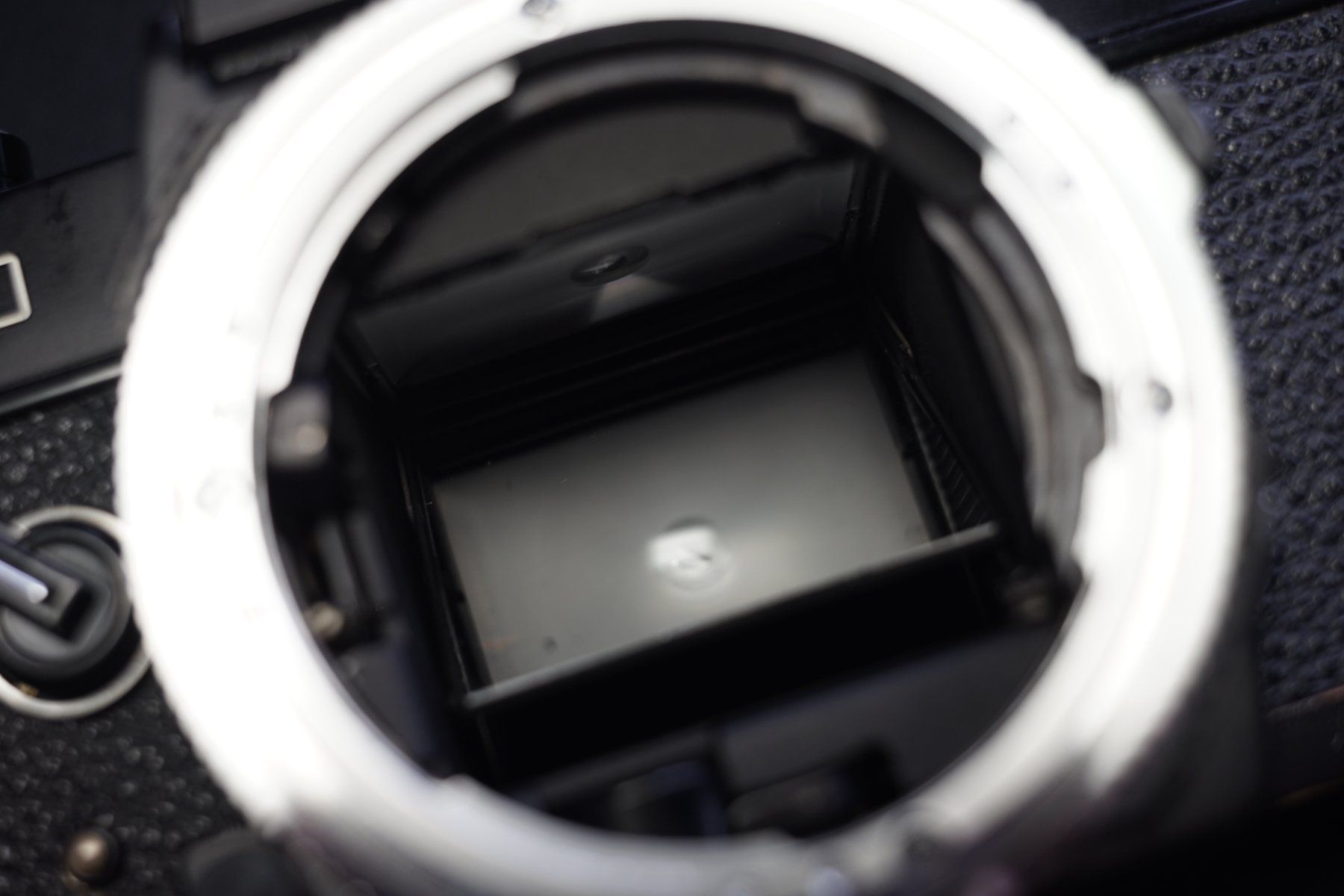 Mamiya Kamera: Mamiya nc1000 Camera Mamiya Sekor CS 50mm 1.7 – Gebraucht aus Steinhausen von joe_9htr 1