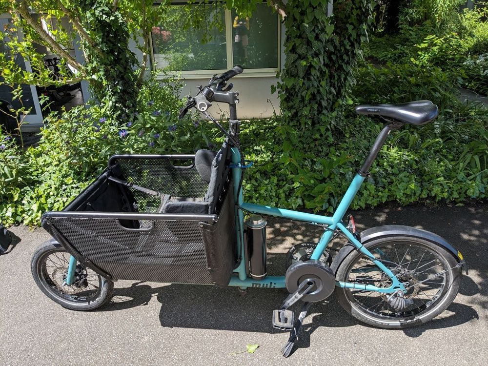 Muli Lastenrad Gebraucht