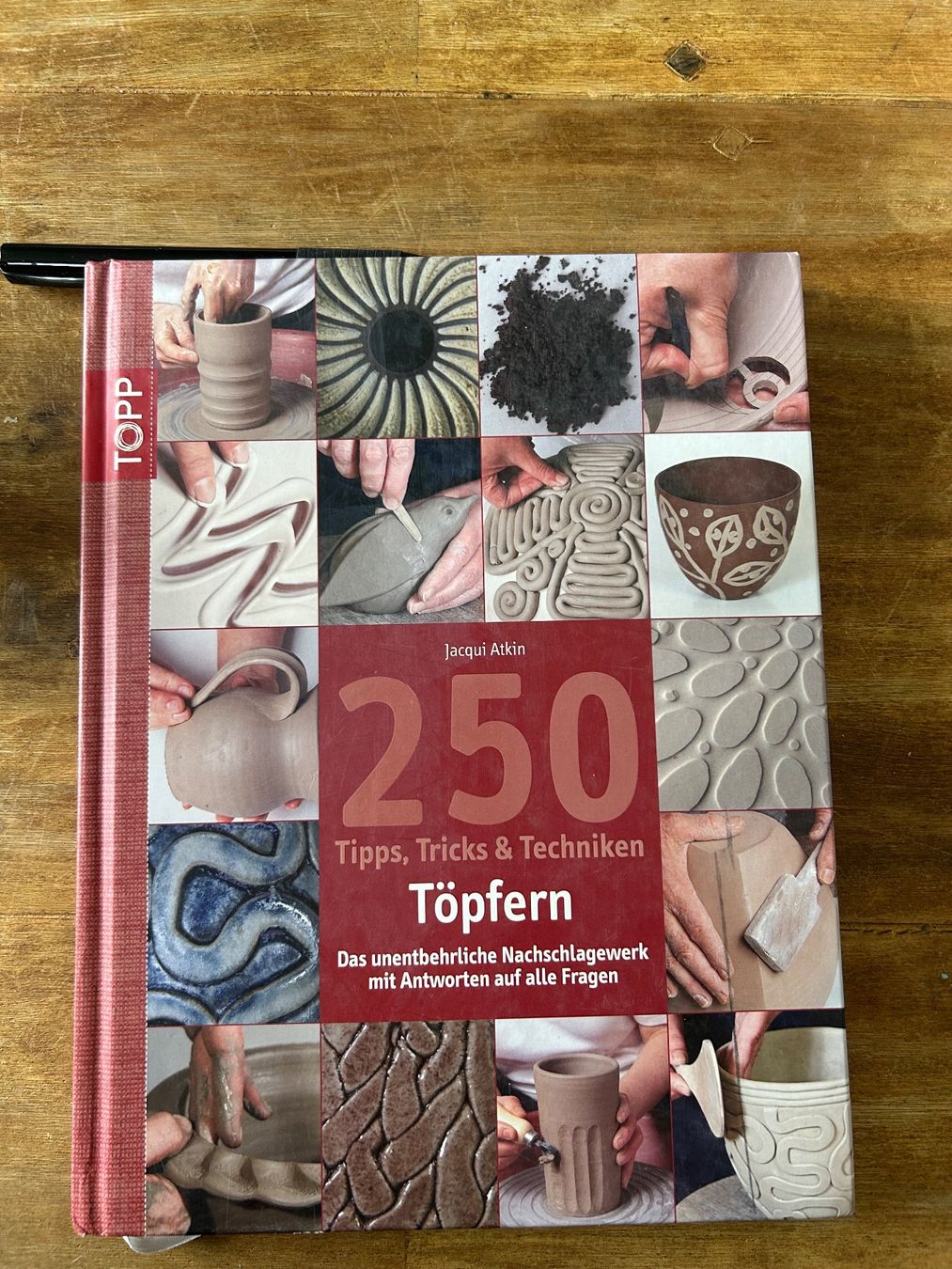Libri: 250 Tipps, Tricks & Techniken: Jacqui Atkin – Usato da diessenhofen venduto da Susanne4222
