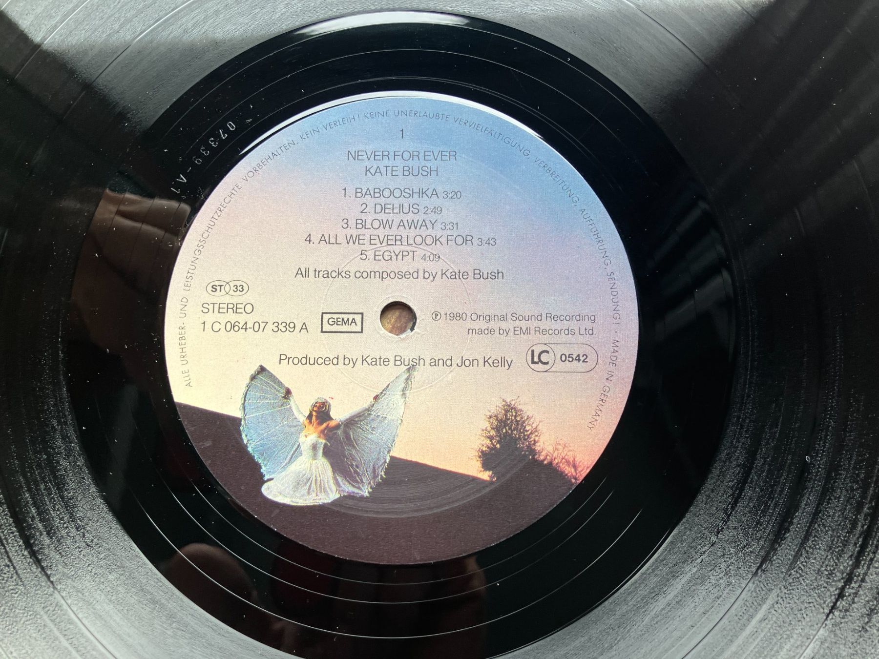 Dischi in vinile: Kate Bush – Usato da Aarwangen venduto da Jukebox3 5