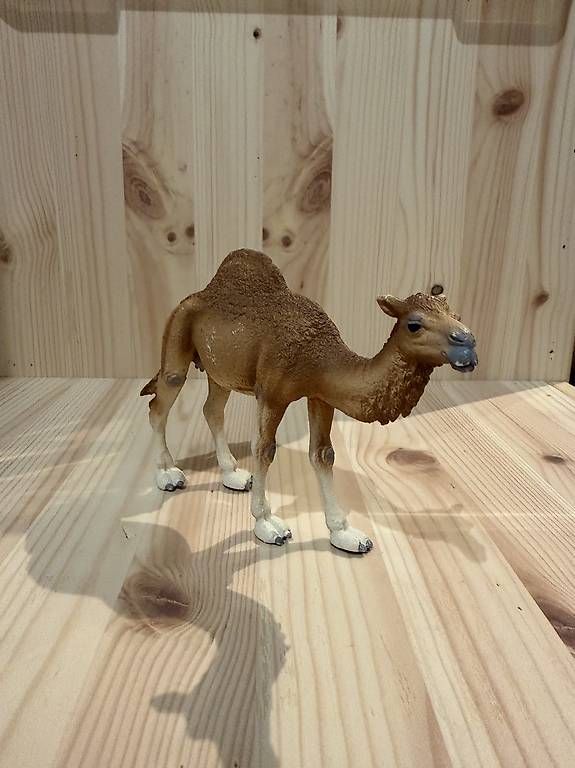 Giocattoli: Schleich Alligator, Gorilla, Dromedar, Kuh, Löwe – Usato da Niederhasli venduto da des_f82m 2