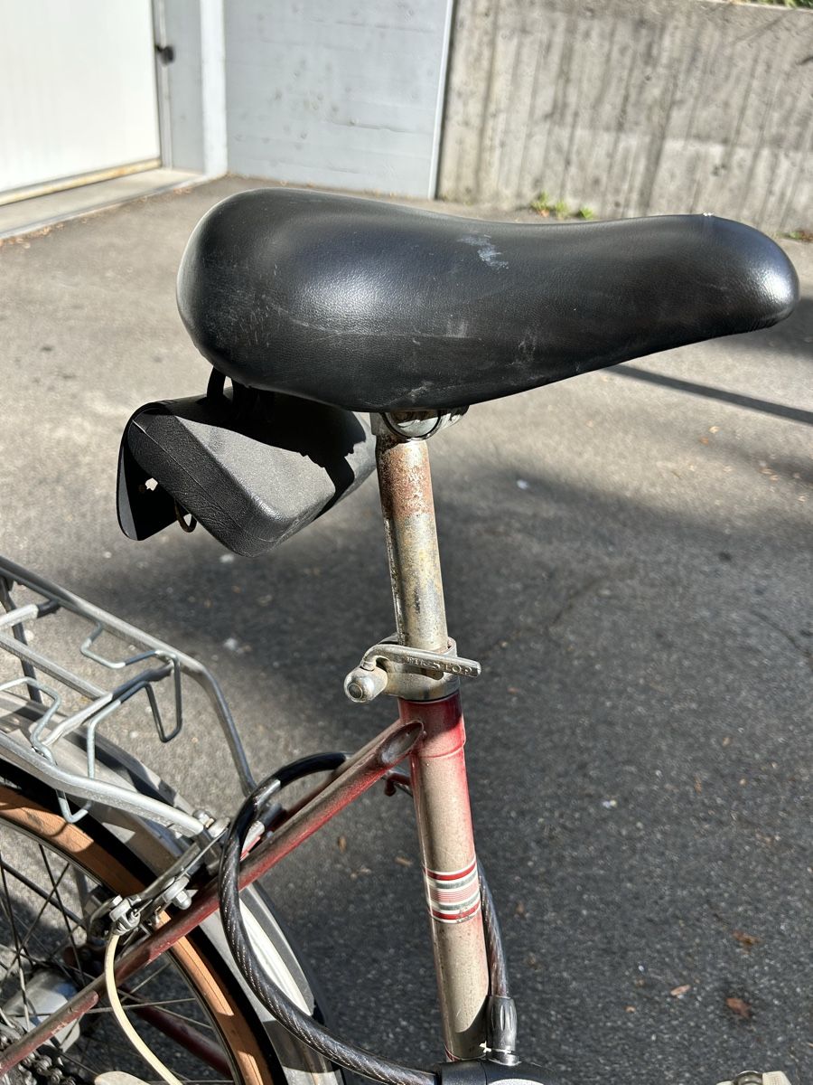 Biciclette: Auto-Mini Folding Bicycle Vintage Silver – Usato da Zürich venduto da mer_pr7h 5