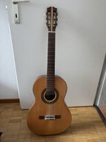 Chitarra EKO vintage modello 9051 - Italia - Estate!