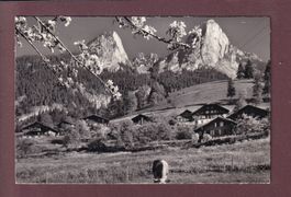 SCHWARZENMATT - Ferienheim Stocker - 1959
