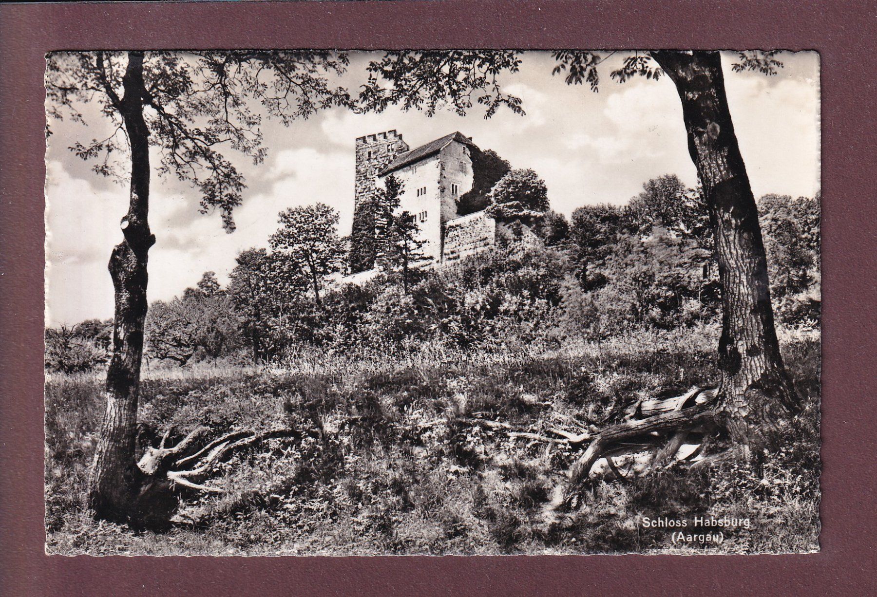Cartoline postali: SCHLOSS HABSBURG - 1953 – Usato da Pully venduto da nicecards