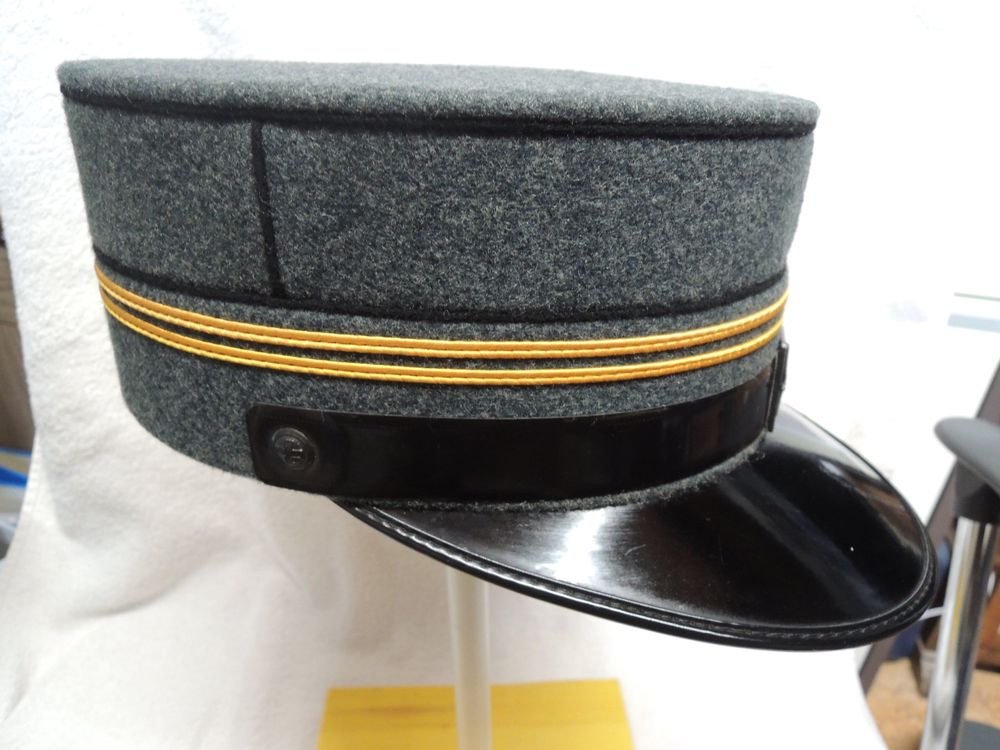 Militärmütze Schweizer Armee Oberleutnant Feldmütze (D'occasion) à ...