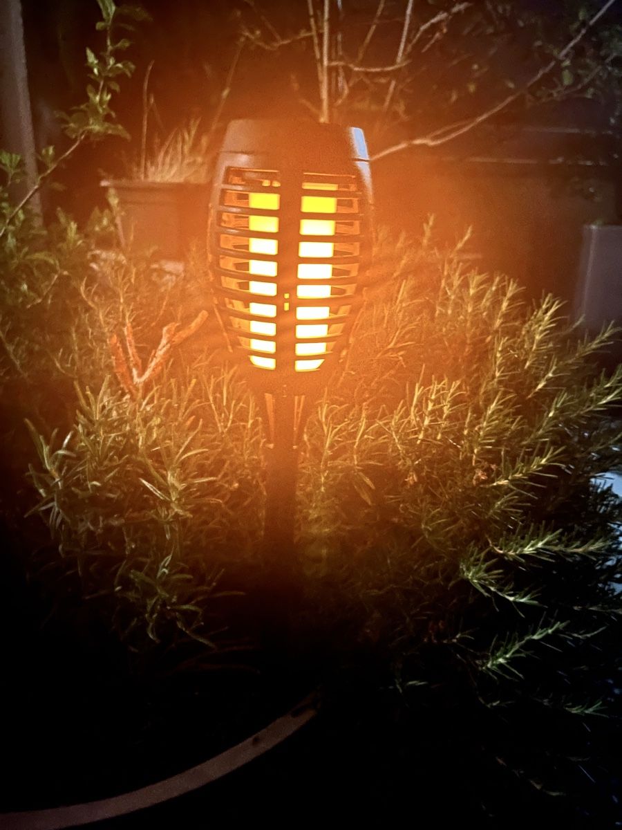 Lampen: Garten Lampe – Neu (gemäss Beschreibung) aus Birrwil von WIlddom 4