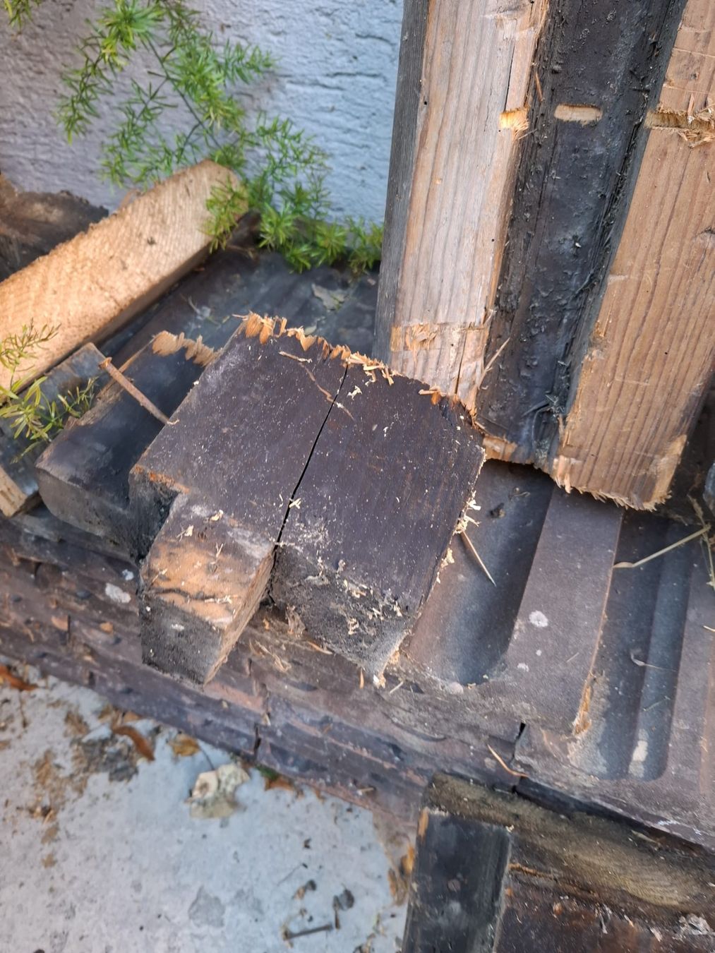 Holzartikel: Altholz – Gebraucht aus Affoltern BE von aripavel 2
