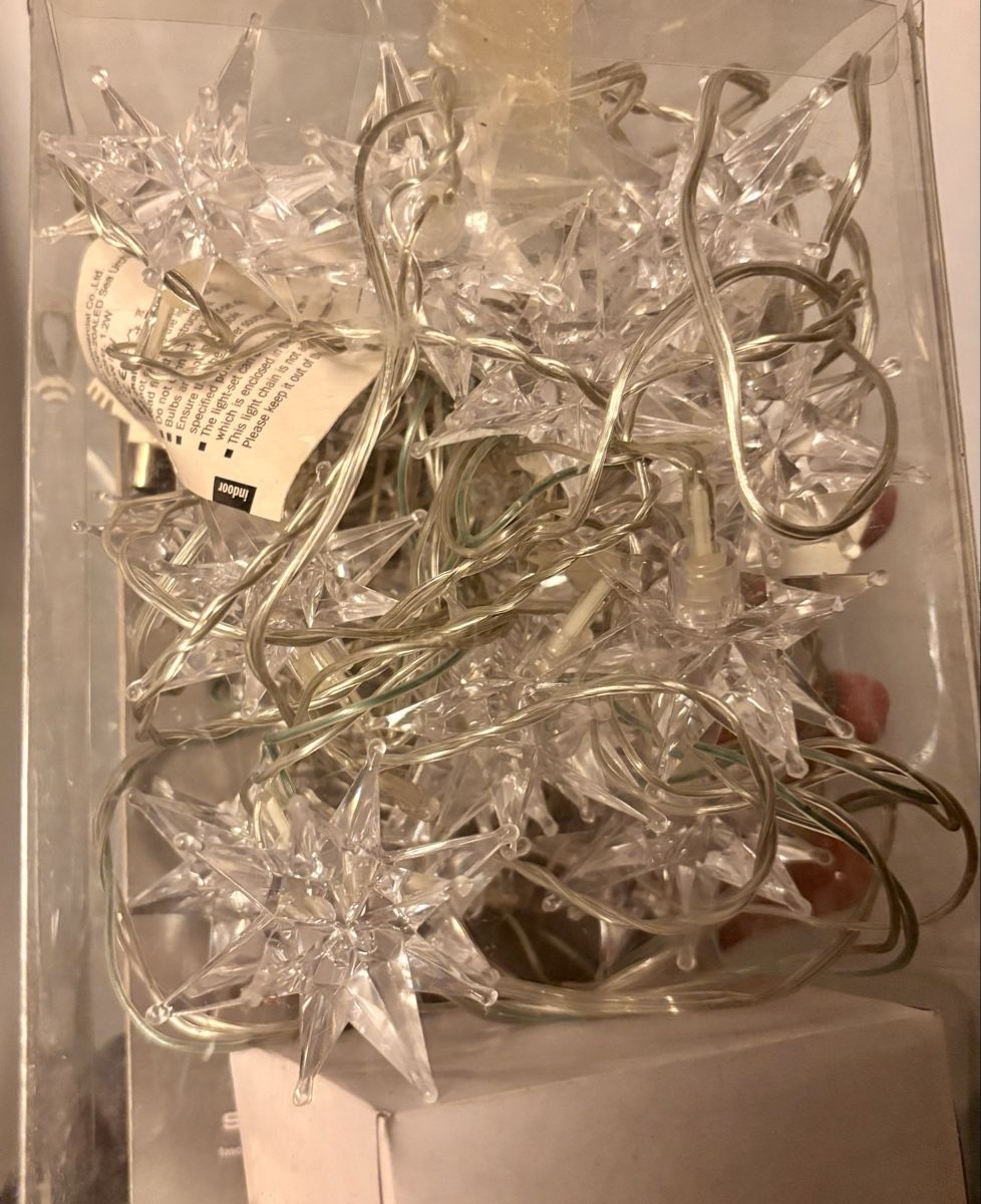 Ghirlande e barre luminose: 6 Indoor String Lights: Festive Decor – Nuovo (secondo la descrizione) da Bonstetten venduto da O.Bond 3