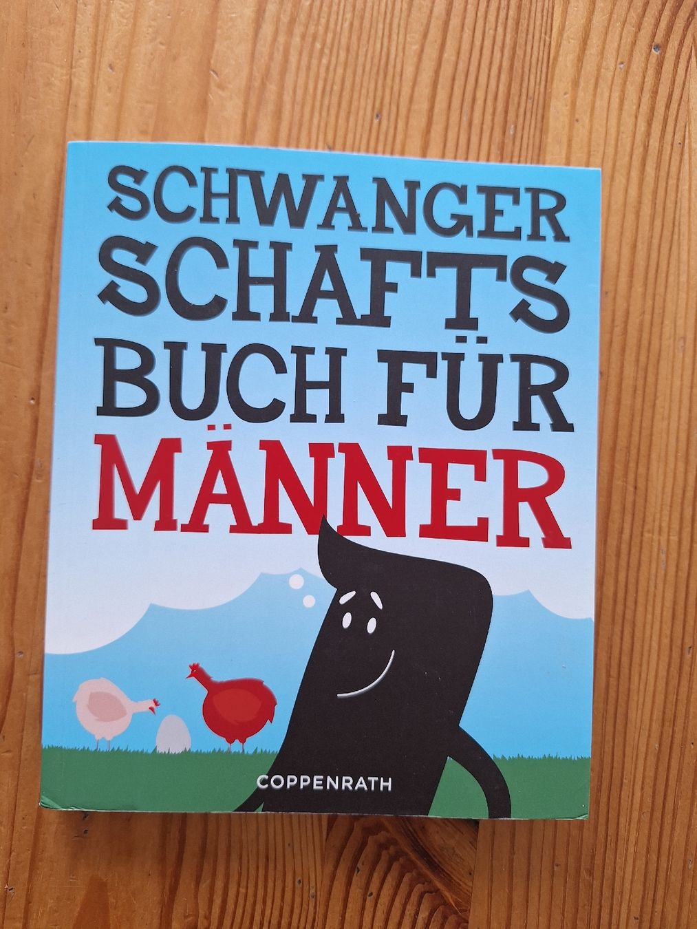 Libri: 2 Schwangerschaftsbücher – Usato da Aesch BL venduto da ChezToKa 1