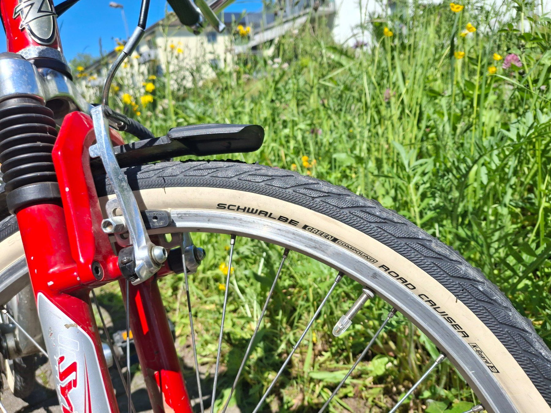 Biciclette: Kindervelo 24" – Usato da Birmensdorf ZH venduto da portalis 8