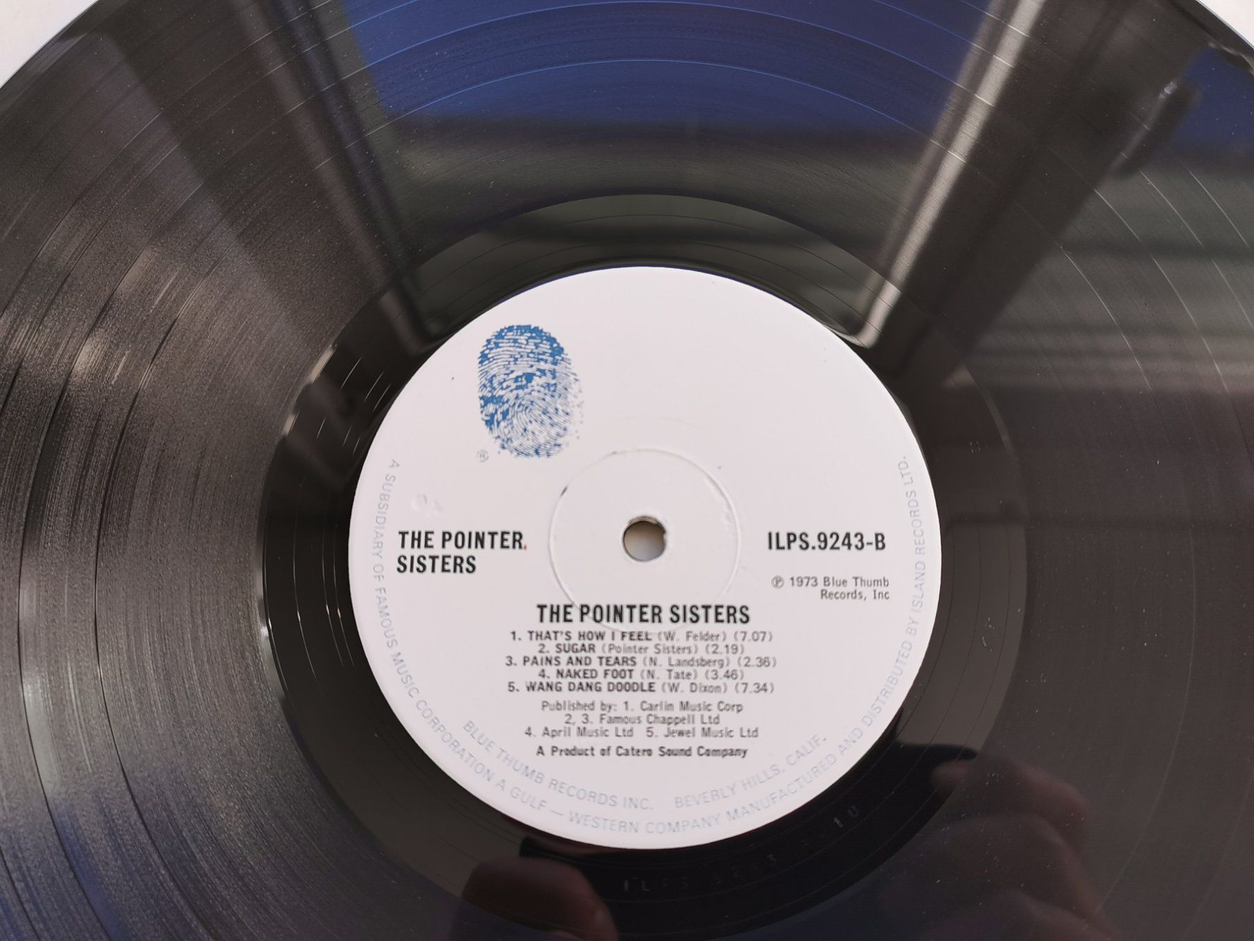 Dischi in vinile: The Pointer Sisters – The Pointer Sisters  D 73 – Usato da Ebikon venduto da kisuM 9