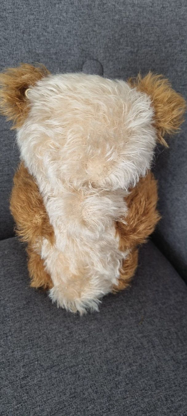Steiff Giocattoli: Steiff Cappuccino, ca. 33cm, unbespielt – Usato da Lenzburg venduto da friedi5 5