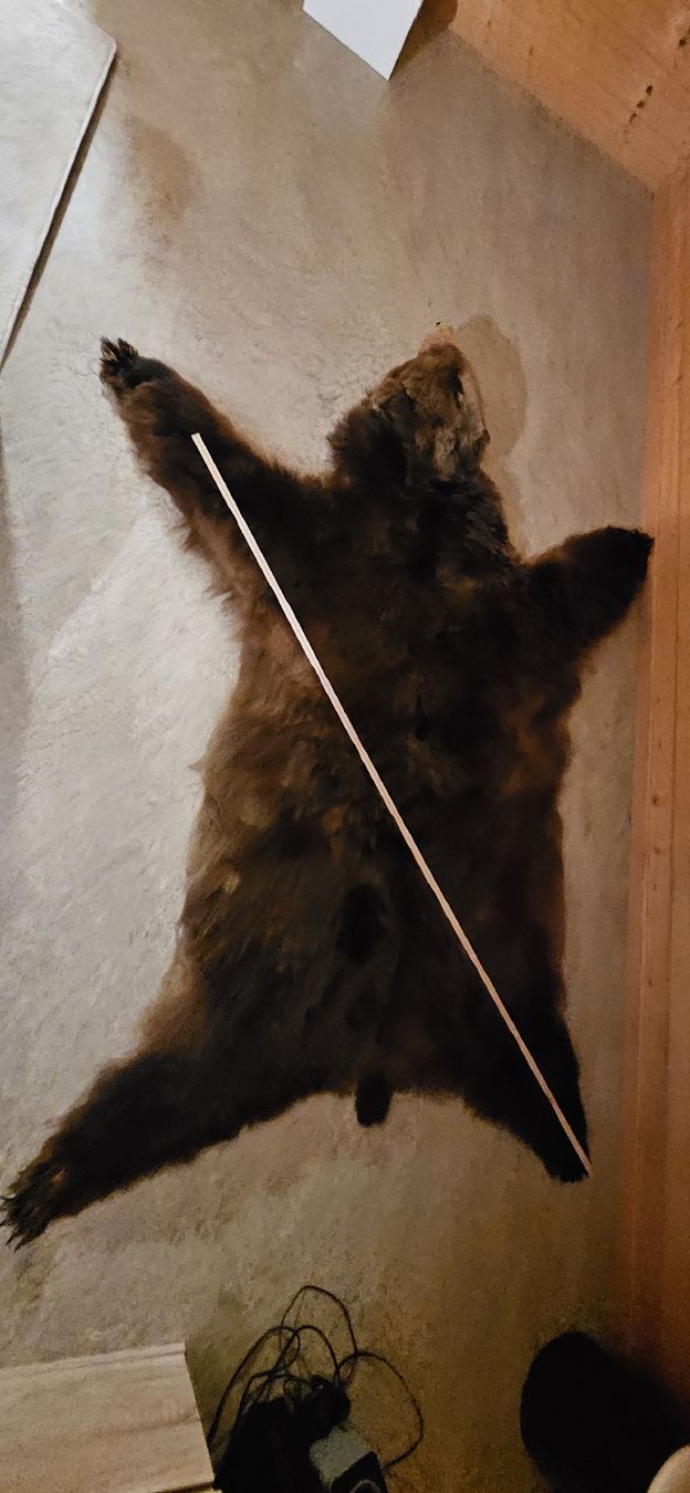 Tapis: bear skin rug – D'occasion à Rougemont par 911__ 4