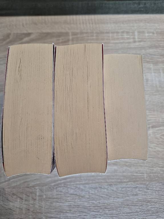 Libri: Die Vampir Trilogie von Markus Heitz – Usato da Basel venduto da Sahrinia 2