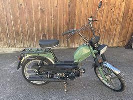 Pony GTX