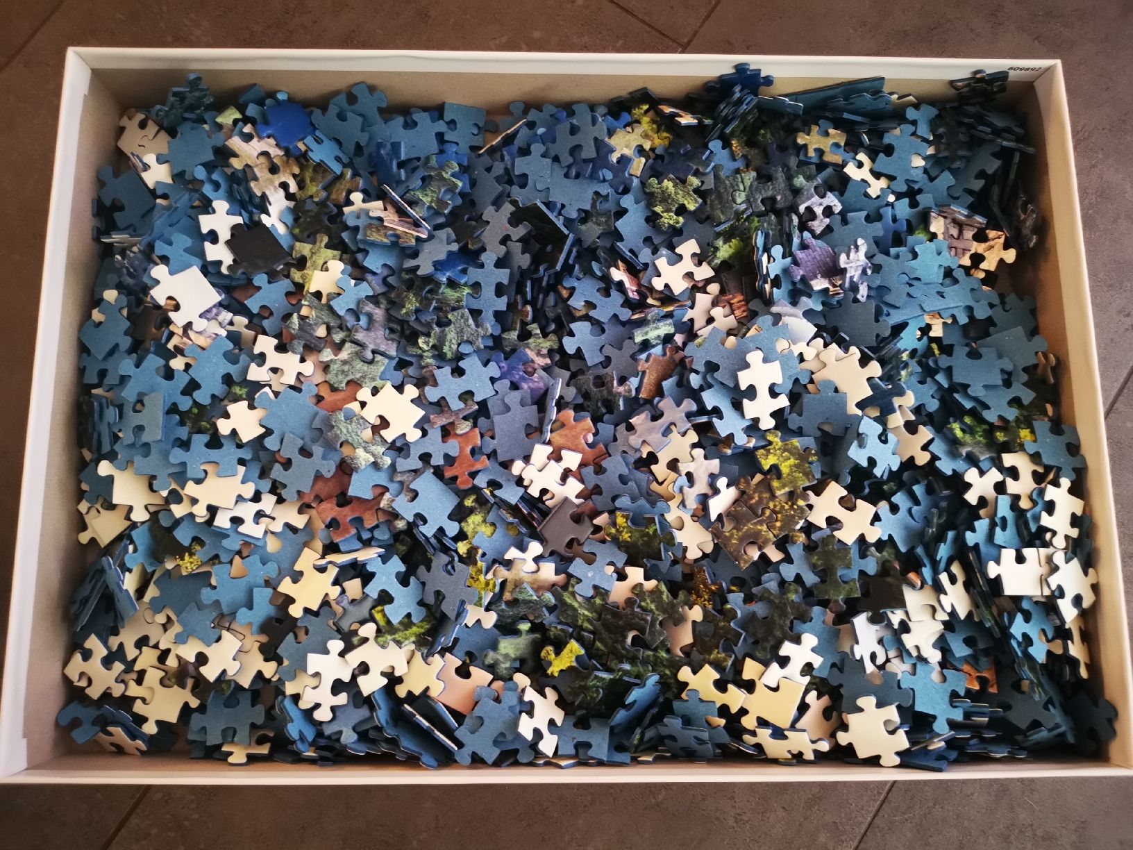 Ravensburger Puzzle: Ravensburger Puzzle | 2000 Pcs  – Nuovo (secondo la descrizione) da Meilen venduto da itssunny 1