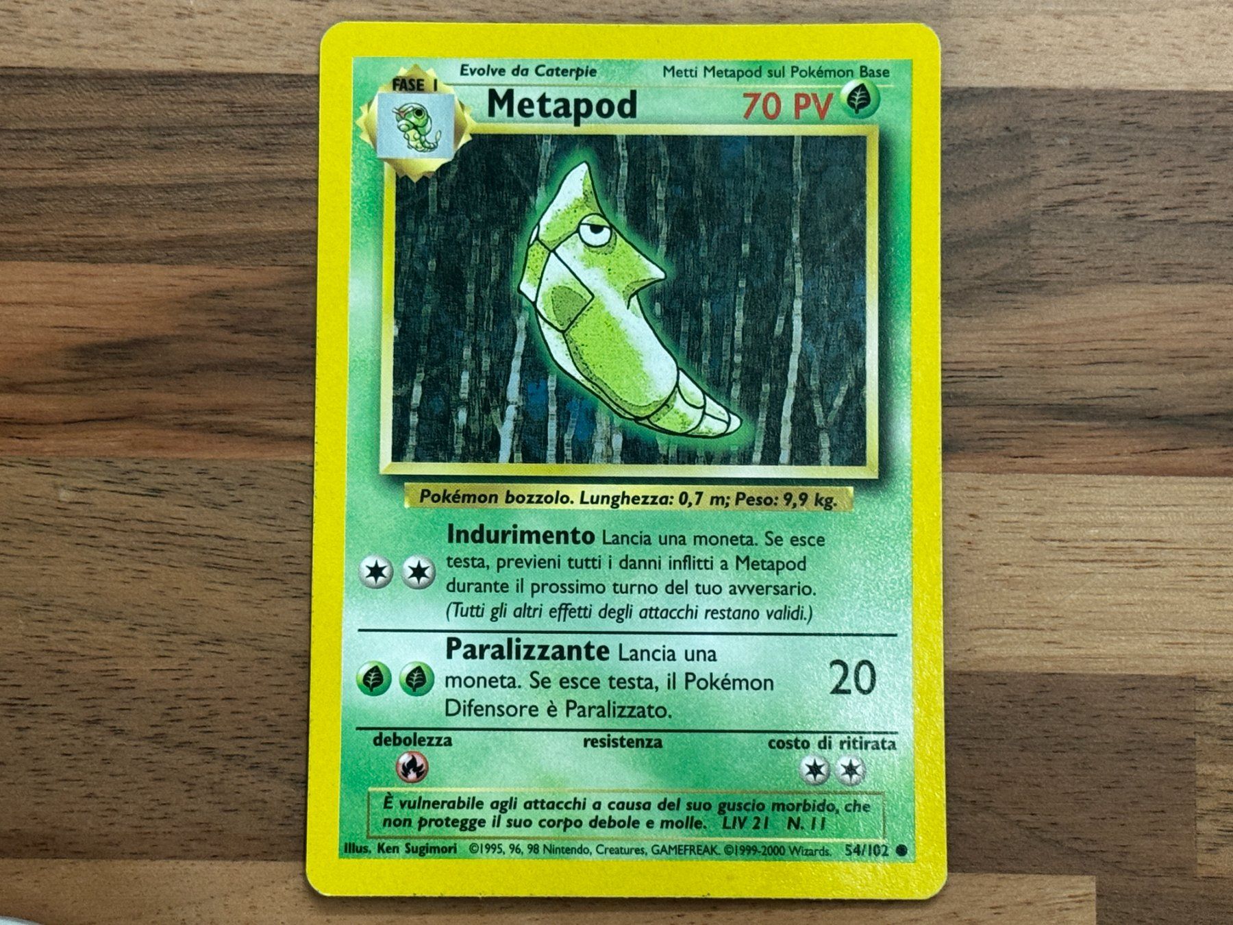 Pokémon Carte collezionabili: Pokemon Trading Karte Metapod – Usato da Glattfelden venduto da Dani_Tanner