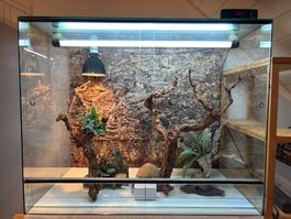 Glas Terrarium inklusive Zubehör