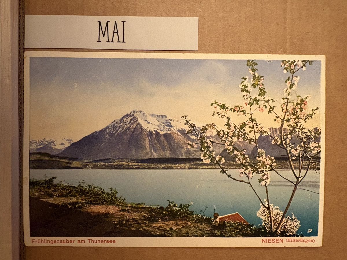 Cartoline postali: AK von Thunersee / Niesen – Usato da Rümlang venduto da Kartenpost1