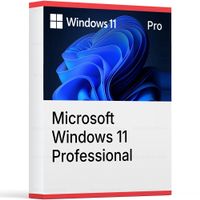 Microsoft Windows 11 Professional