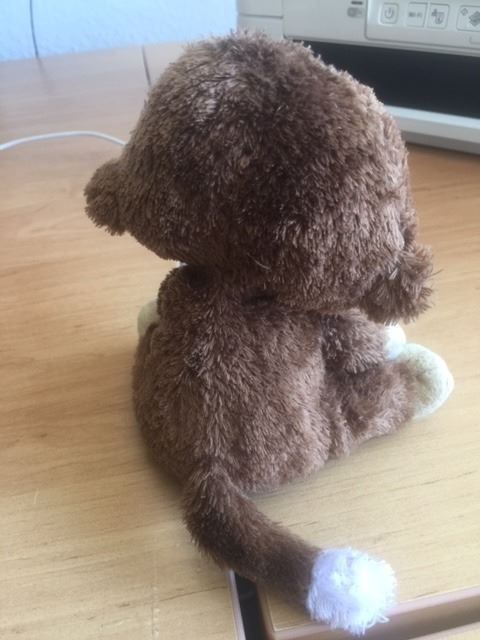 Giocattoli: PELUCHE TY – Usato da Bernex venduto da eunicefitz 1