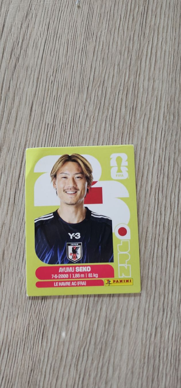 Panini Carte collezionabili: Fifa World Cup Panini JPN 4 – Nuovo e nell'imballaggio originale da Biel VS venduto da volcom8702