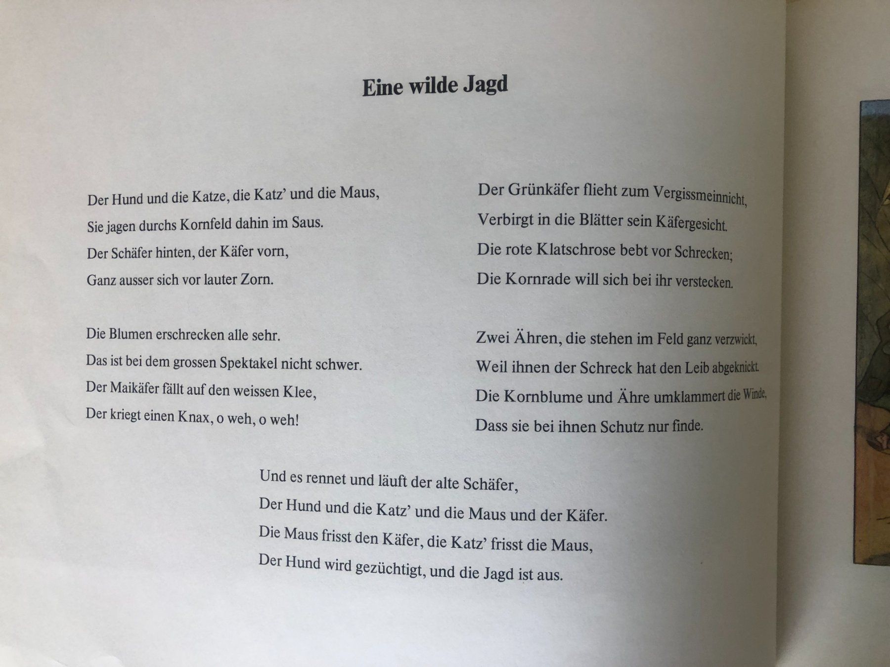 Libri: Blumen-Märchen von Ernst Kreidolf – Usato da Bassersdorf venduto da sammelfloh 7