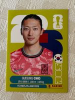 Panini Fifa Word Cup 2026 KOR 17